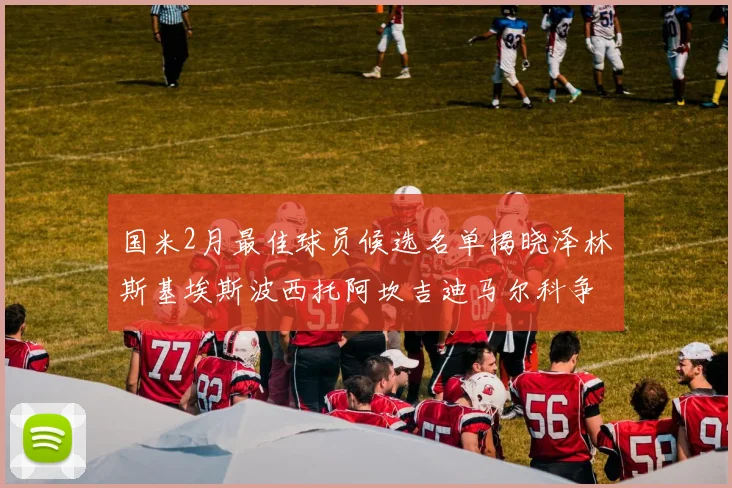 国米2月最佳球员候选名单揭晓泽林斯基埃斯波西托阿坎吉迪马尔科争夺荣誉